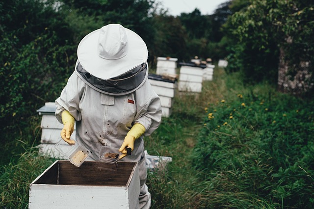 Bienen